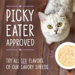 Stella & Chewy's Savory Shreds Chicken & Salmon Flavored Shredded Wet Cat Food 17 Stella & Chewy's Savory Shreds Chicken & Salmon Flavored Shredded Wet Cat Food -Furry Friends 576510 PT8. AC SS1800 V1657660470