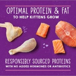 Stella & Chewy's Chicken & Salmon Flavored Pate Kitten Wet Cat Food -Furry Friends 576606 PT3. AC SS1800 V1657660473