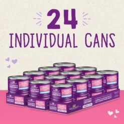 Stella & Chewy's Chicken & Salmon Flavored Pate Kitten Wet Cat Food -Furry Friends 576606 PT6. AC SS1800 V1657660473