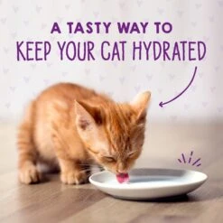 Stella & Chewy's Chicken & Salmon Flavored Pate Kitten Wet Cat Food -Furry Friends 576606 PT8. AC SS1800 V1657660473