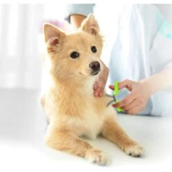 ConairPROPET Dog Rounded-Tip Shears -Furry Friends 58158 PT4. AC SS1800 V1684172426