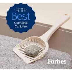 Boxiecat Gently Scented Premium Clumping Clay Cat Litter -Furry Friends 582094 PT3. AC SS1800 V1658623056