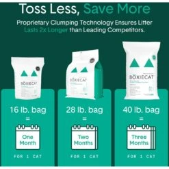 Boxiecat Gently Scented Premium Clumping Clay Cat Litter -Furry Friends 582094 PT5. AC SS1800 V1658618566
