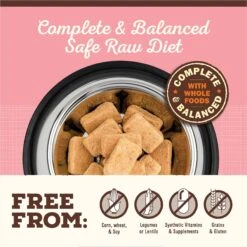 Primal Beef & Salmon Formula Nuggets Grain-Free Raw Freeze-Dried Cat Food -Furry Friends 58381 PT2. AC SS1800 V1677707297