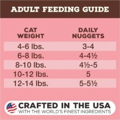 Primal Beef & Salmon Formula Nuggets Grain-Free Raw Freeze-Dried Cat Food -Furry Friends 58381 PT6. AC SS1800 V1677707294