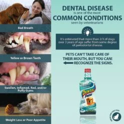 Dental Fresh Original Formula Dog & Cat Dental Water Additive -Furry Friends 58612 PT3. AC SS1800 V1639090924