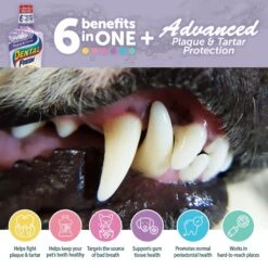 Dental Fresh Advanced Plaque & Tartar Dog & Cat Dental Water Additive -Furry Friends 58614 PT2. AC SS1800 V1678485384