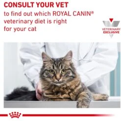 Royal Canin Veterinary Diet Adult Urinary SO Moderate Calorie Morsels In Gravy Canned Cat Food -Furry Friends 58620 PT6. AC SS1800 V1677619989