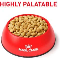 Royal Canin Veterinary Diet Adult Satiety Support Weight Management Dry Cat Food 13 Royal Canin Veterinary Diet Adult Satiety Support Weight Management Dry Cat Food -Furry Friends 58752 PT2. AC SS1800 V1676556700