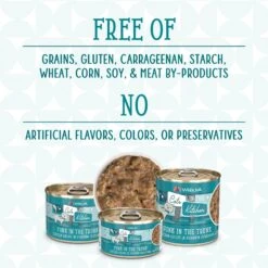 Weruva Cats In The Kitchen Funk In The Trunk Chicken In Pumpkin Consomme Grain-Free Canned Cat Food -Furry Friends 58941 PT4. AC SS1800 V1702597827