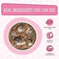 Weruva Cats In The Kitchen Kitty Gone Wild Salmon Au Jus Grain-Free Canned Cat Food -Furry Friends 58944 PT3. AC SS1800 V1702597958