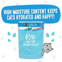 BFF Tuna & Chicken Charm Me Dinner In Gravy Wet Cat Food Pouches 14 BFF Tuna & Chicken Charm Me Dinner In Gravy Wet Cat Food Pouches -Furry Friends 59058 PT3. AC SS1800 V1644903991