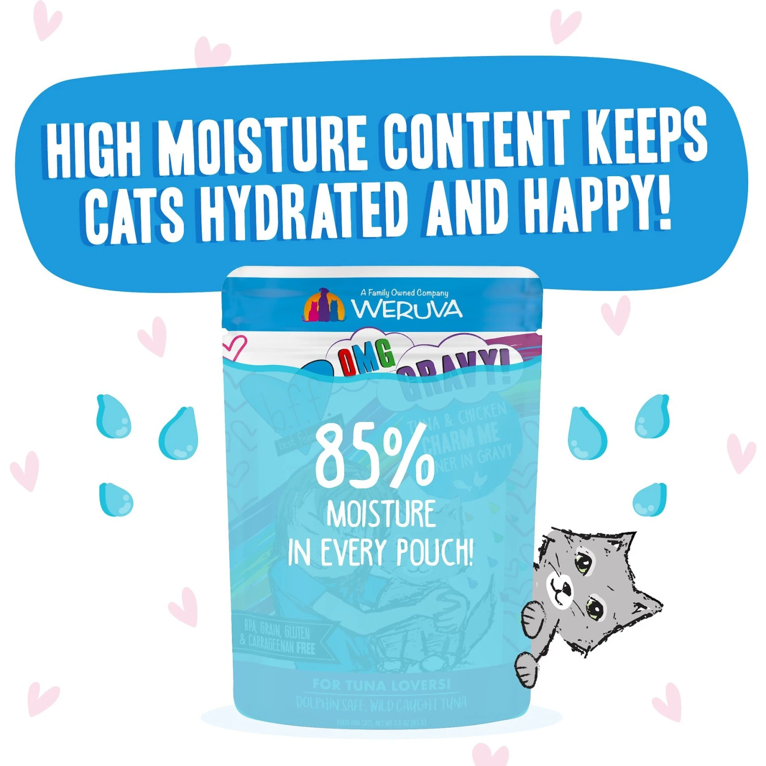 BFF Tuna & Chicken Charm Me Dinner In Gravy Wet Cat Food Pouches 6 BFF Tuna & Chicken Charm Me Dinner In Gravy Wet Cat Food Pouches - Image 4