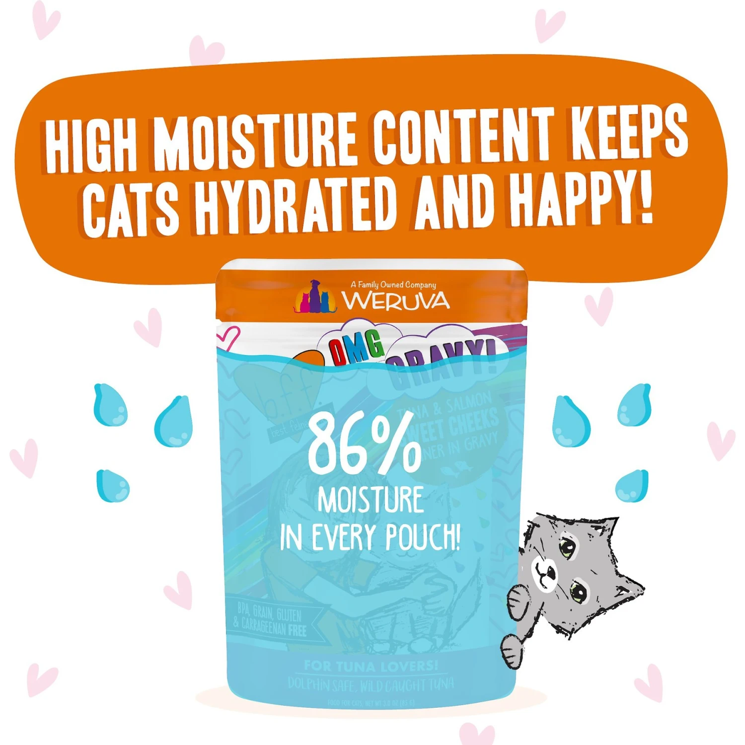 BFF Tuna & Salmon Sweet Cheeks Dinner In Gravy Wet Cat Food Pouches 6 BFF Tuna & Salmon Sweet Cheeks Dinner In Gravy Wet Cat Food Pouches - Image 4