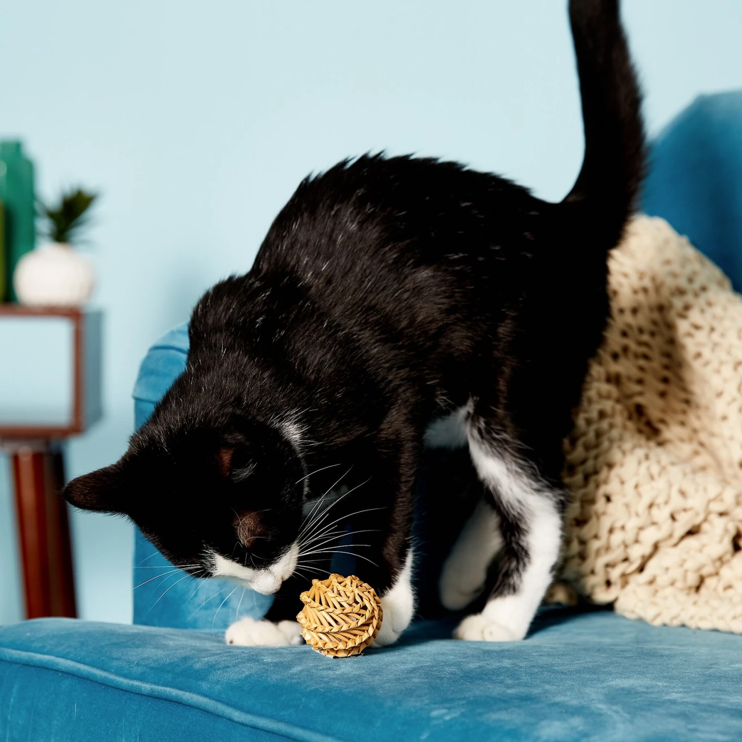KONG Naturals Straw Balls Cat Toy 7 KONG Naturals Straw Balls Cat Toy - Image 5