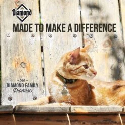 Diamond Maintenance Formula Adult Dry Cat Food -Furry Friends 59941 PT4. AC SS1800 V1641253623