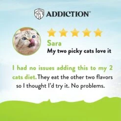 Addiction Viva La Venison Entree Complete & Balanced Immune Boost Grain-Free Dry Cat Food 14 Addiction Viva La Venison Entree Complete & Balanced Immune Boost Grain-Free Dry Cat Food -Furry Friends 60092 PT4. AC SS1800 V1696253889
