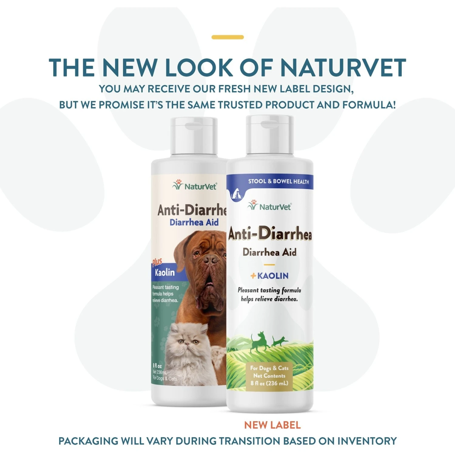 NaturVet Homeopathic Medicine For Digestive Issues & Diarrhea For Cats & Dogs 4 NaturVet Homeopathic Medicine For Digestive Issues & Diarrhea For Cats & Dogs - Image 2