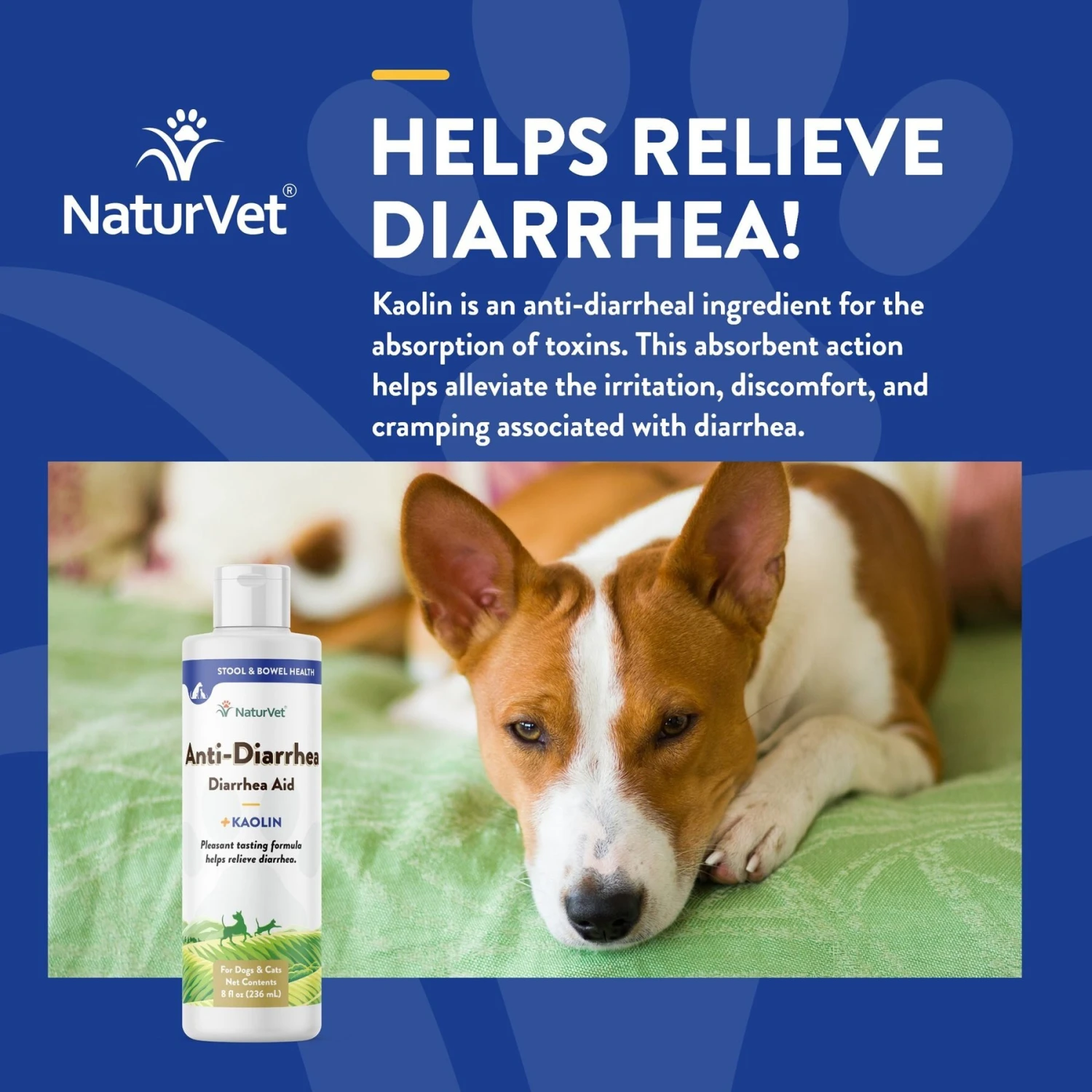 NaturVet Homeopathic Medicine For Digestive Issues & Diarrhea For Cats & Dogs 6 NaturVet Homeopathic Medicine For Digestive Issues & Diarrhea For Cats & Dogs - Image 4