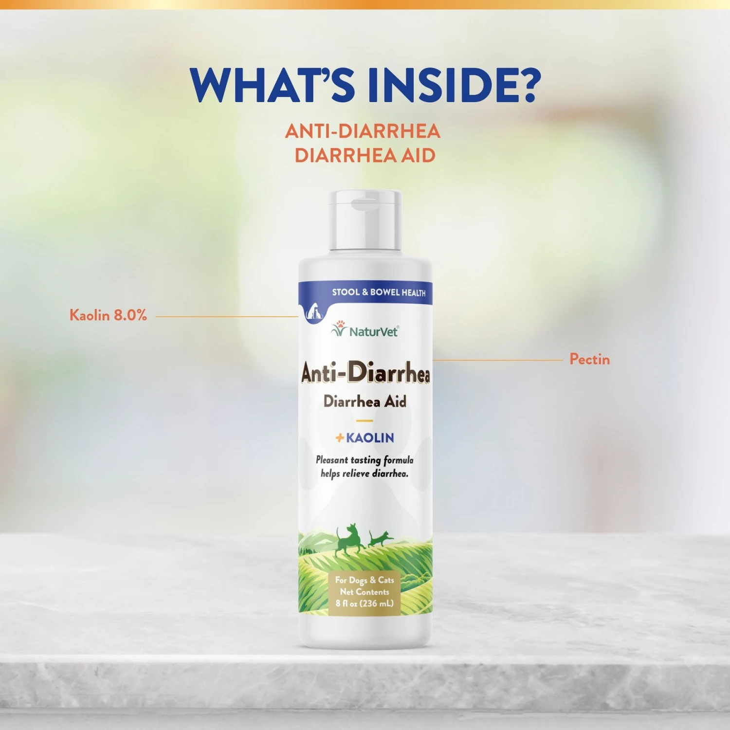 NaturVet Homeopathic Medicine For Digestive Issues & Diarrhea For Cats & Dogs 7 NaturVet Homeopathic Medicine For Digestive Issues & Diarrhea For Cats & Dogs - Image 5