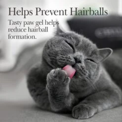 Nutri-Vet Chicken Flavored Gel Hairball Control Supplement For Cats -Furry Friends 61056 PT2. AC SS1800 V1657660700