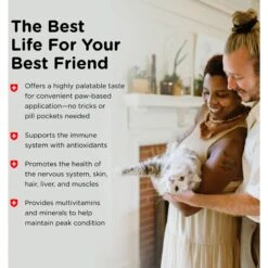 Nutri-Vet Multi-Vite Salmon Flavored Gel Multivitamin For Cats -Furry Friends 61064 PT3. AC SS1800 V1657660701