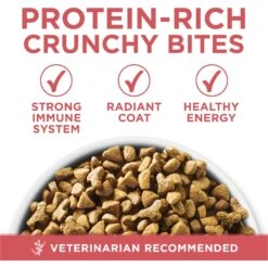 Purina ONE +Plus Indoor Advantage With Real Salmon Natural Adult Dry Cat Food -Furry Friends 610862 PT2. AC SS1800 V1674843980