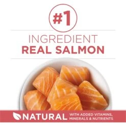 Purina ONE +Plus Indoor Advantage With Real Salmon Natural Adult Dry Cat Food -Furry Friends 610862 PT3. AC SS1800 V1674843979