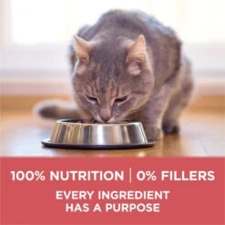 Purina ONE +Plus Indoor Advantage With Real Salmon Natural Adult Dry Cat Food -Furry Friends 610862 PT6. AC SS1800 V1674843980