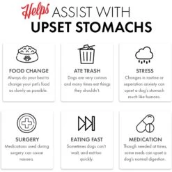 Grandma Lucy's Simple Replacement Anti-Diarrhea Freeze-Dried Dog & Cat Meal Replacement 14 Grandma Lucy's Simple Replacement Anti-Diarrhea Freeze-Dried Dog & Cat Meal Replacement -Furry Friends 61110 PT4. AC SS1800 V1676647250