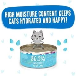 BFF OMG QT Patootie! Chicken & Turkey Dinner In Gravy Grain-Free Canned Cat Food & BFF OMG Love Munchkin! Chicken & Pumpkin Dinner In Gravy Grain-Free Canned Cat Food -Furry Friends 611718 PT6. AC SS1800 V1661548861