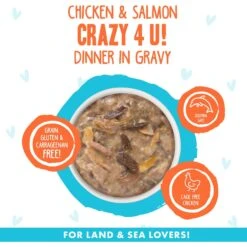 BFF OMG Crazy 4 U! Chicken & Salmon Dinner In Gravy Grain-Free Canned Cat Food & BFF OMG QT Patootie! Chicken & Turkey Dinner In Gravy Grain-Free Canned Cat Food -Furry Friends 611734 PT4. AC SS1800 V1661547946