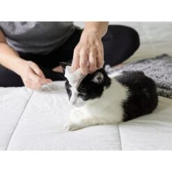 Pet Parents Pet WiPees Cat All Purpose Cat Cleaning Wipes, 100 Count -Furry Friends 614158 PT3. AC SS1800 V1660253896