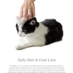 Pet Parents Pet WiPees Cat All Purpose Cat Cleaning Wipes, 100 Count -Furry Friends 614158 PT5. AC SS1800 V1695757322