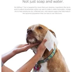 Pet Parents Pet WiPees Natural Scent Cat & Dog Ear Wipes, 100 Count 12 Pet Parents Pet WiPees Natural Scent Cat & Dog Ear Wipes, 100 Count -Furry Friends 614190 PT1. AC SS1800 V1695760302