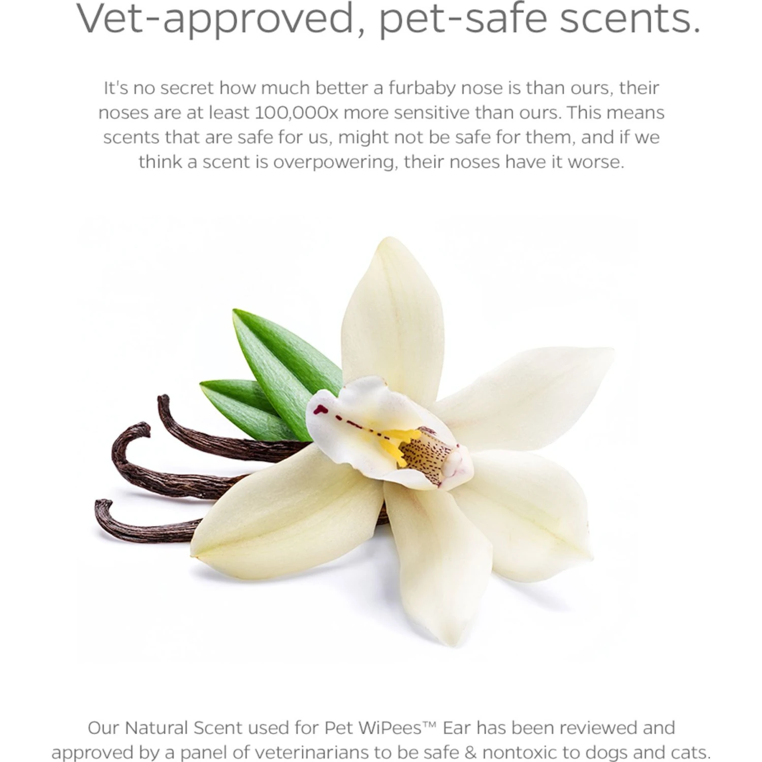 Pet Parents Pet WiPees Natural Scent Cat & Dog Ear Wipes, 100 Count 9 Pet Parents Pet WiPees Natural Scent Cat & Dog Ear Wipes, 100 Count - Image 7