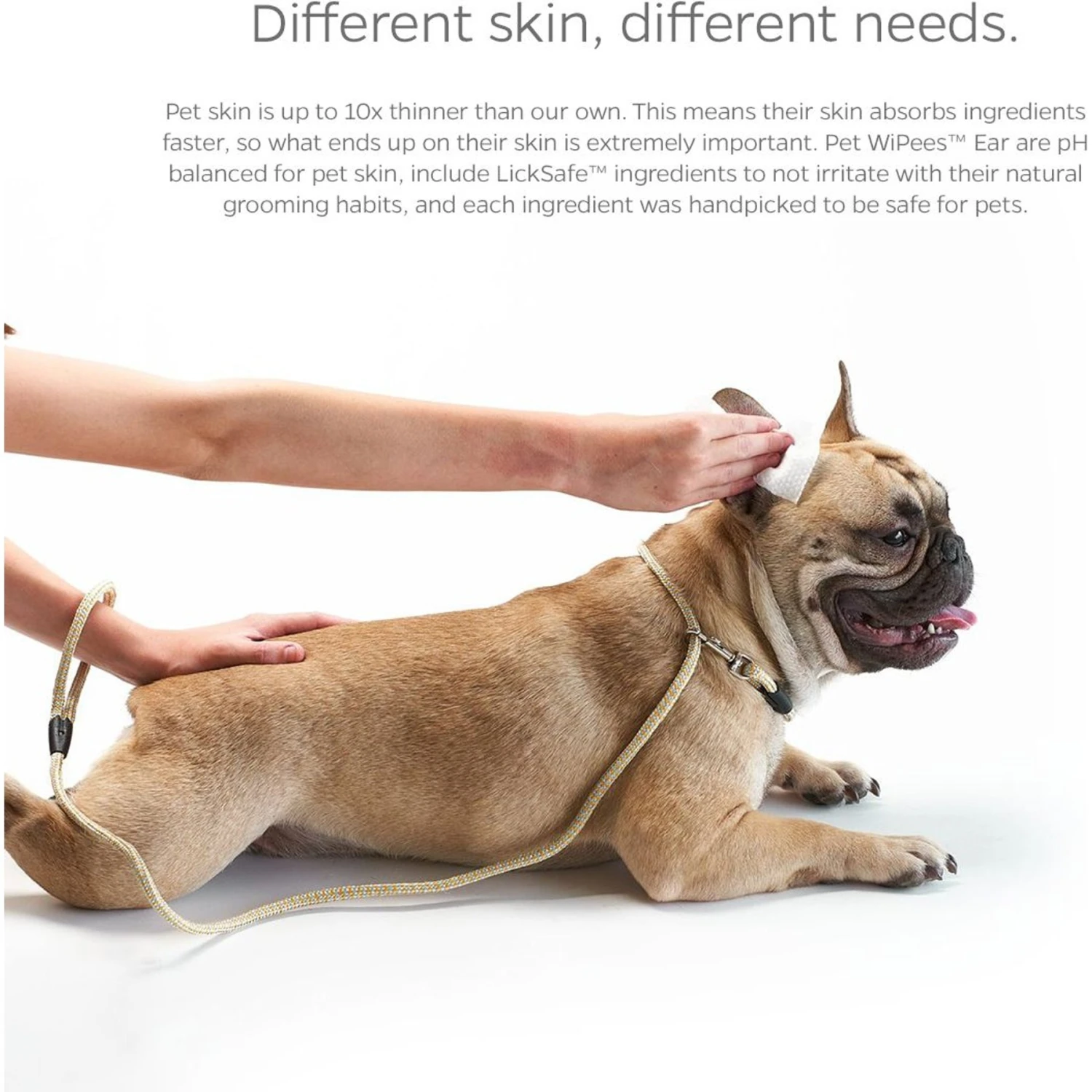 Pet Parents Pet WiPees Natural Scent Cat & Dog Ear Wipes, 100 Count 10 Pet Parents Pet WiPees Natural Scent Cat & Dog Ear Wipes, 100 Count - Image 8