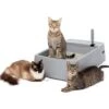 PetSafe Multi-Cat Litter Box -Furry Friends 617526 MAIN. AC SS1800 V1660233556
