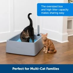 PetSafe Multi-Cat Litter Box 12 PetSafe Multi-Cat Litter Box -Furry Friends 617526 PT1. AC SS1800 V1660257512