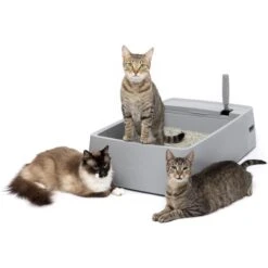 PetSafe Multi-Cat Litter Box 17 PetSafe Multi-Cat Litter Box -Furry Friends 617526 PT6. AC SS1800 V1660255555