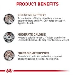 Royal Canin Veterinary Diet Adult Gastrointestinal Moderate Calorie Thin Slices In Gravy Canned Cat Food -Furry Friends 61810 PT2. AC SS1800 V1692048534