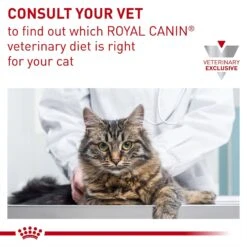 Royal Canin Veterinary Diet Adult Gastrointestinal Moderate Calorie Thin Slices In Gravy Canned Cat Food -Furry Friends 61810 PT8. AC SS1800 V1691702090