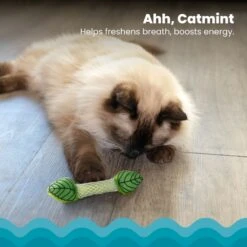 Catstages Fresh Breath Mint Stick Cat Chew Toy -Furry Friends 62044 PT2. AC SS1800 V1636519877