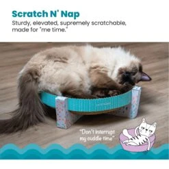 Furry Friends -Furry Friends 62048 PT1. AC SS1800 V1699026355