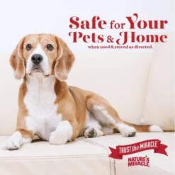 Nature's Miracle Dog Oxy Formula Set-In Stain Destroyer & Odor Remover Spray -Furry Friends 62671 PT5. AC SS1800 V1561481518