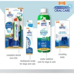 Nylabone Advanced Oral Care Original Flavor Cat Dental Kit, 3 Count -Furry Friends 62931 PT4. AC SS1800 V1641585997