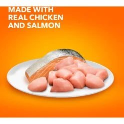 Iams ProActive Health Adult Hairball Care With Chicken & Salmon Dry Cat Food 14 Iams ProActive Health Adult Hairball Care With Chicken & Salmon Dry Cat Food -Furry Friends 62991 PT3. AC SS1800 V1609948041