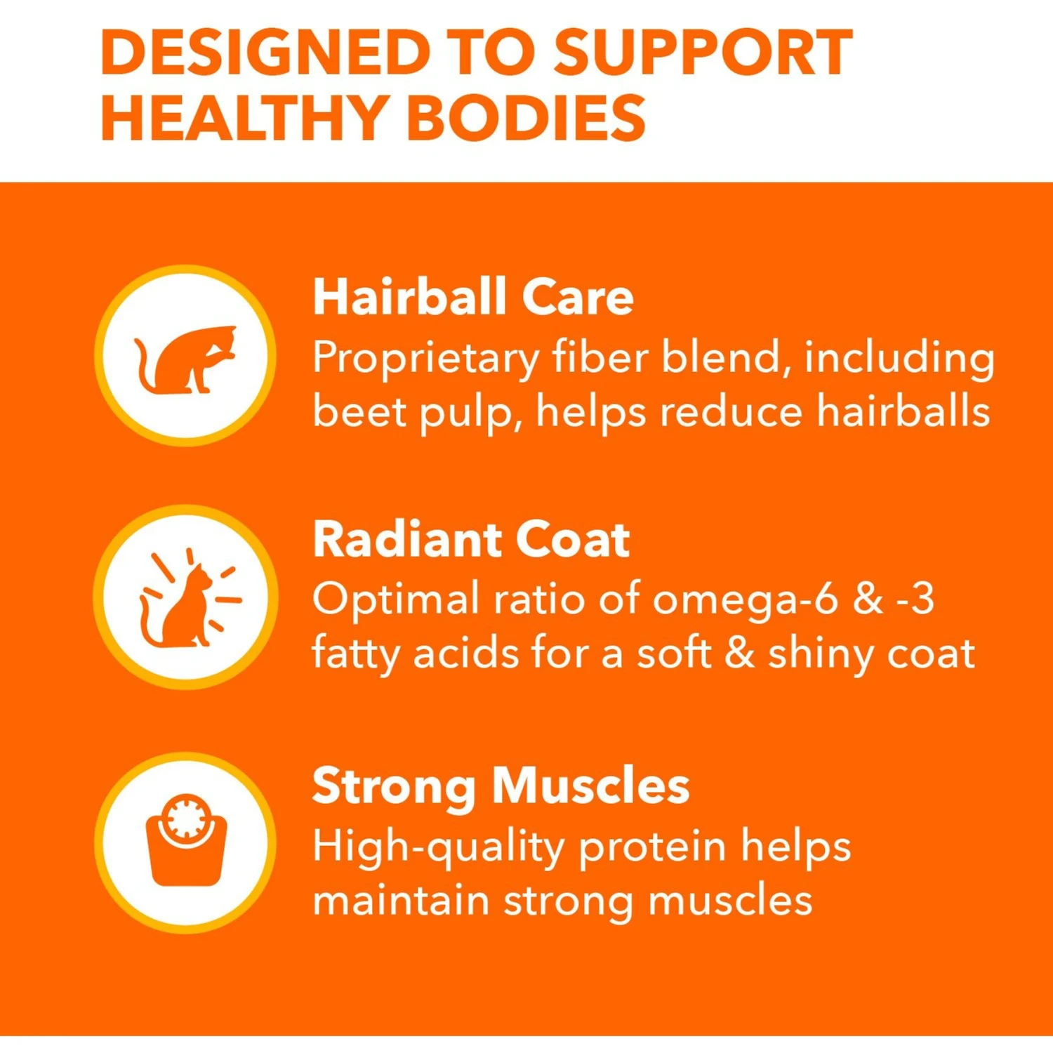 Iams ProActive Health Adult Hairball Care With Chicken & Salmon Dry Cat Food 7 Iams ProActive Health Adult Hairball Care With Chicken & Salmon Dry Cat Food - Image 5