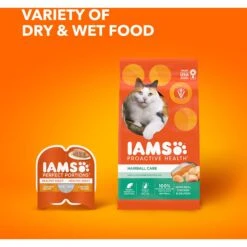 Iams ProActive Health Adult Hairball Care With Chicken & Salmon Dry Cat Food 19 Iams ProActive Health Adult Hairball Care With Chicken & Salmon Dry Cat Food -Furry Friends 62991 PT8. AC SS1800 V1609949891