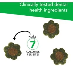 VetriScience Perio Plus Everyday Health Feline Bites Dental Cat Treats -Furry Friends 63108 PT3. AC SS1800 V1558471330